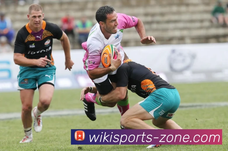 维基体育官网APP 封面图